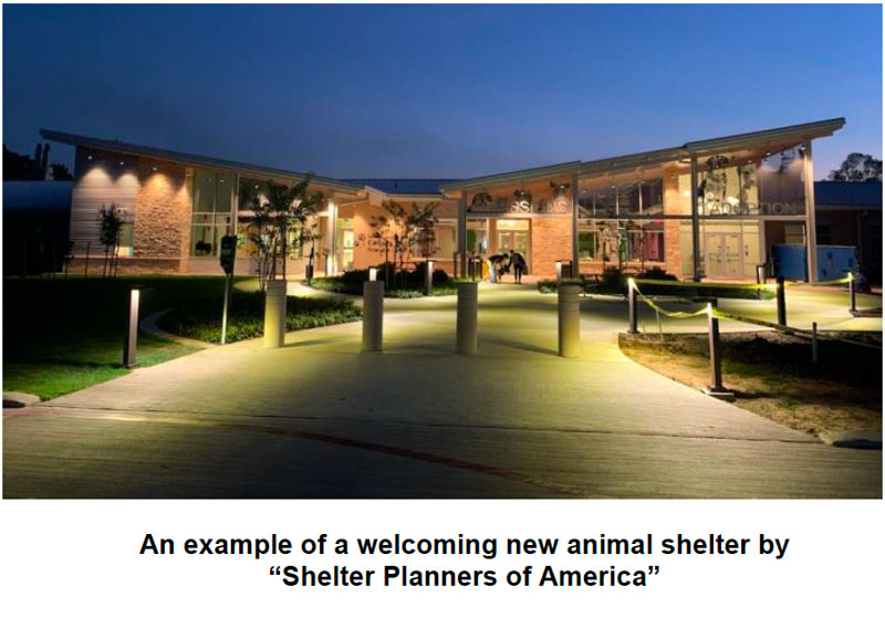 Shelter-Example