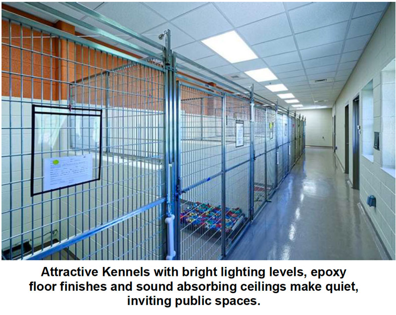 kennels